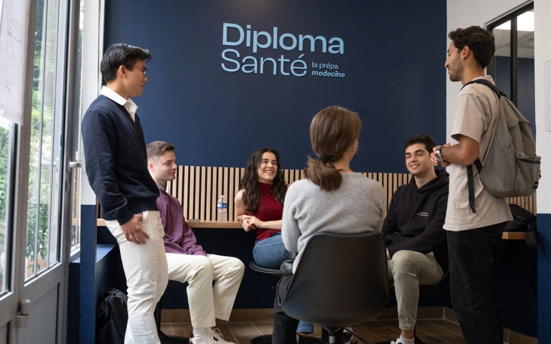 L’année de PASS, mois par mois : entre pression, contenu et stratégie