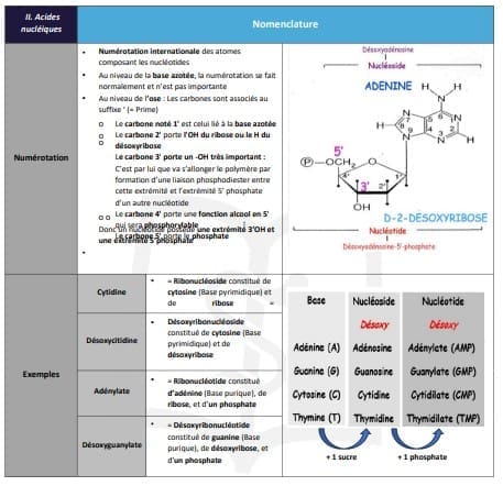 Fiches de cours PASS-LAS